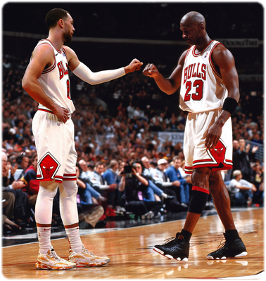 bulls22 12