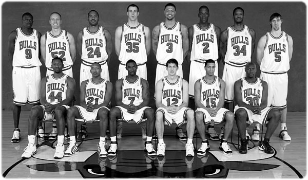 bulls 2021 800px