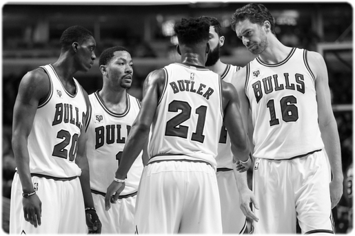 bulls22 d