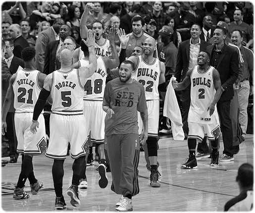 bulls22 e